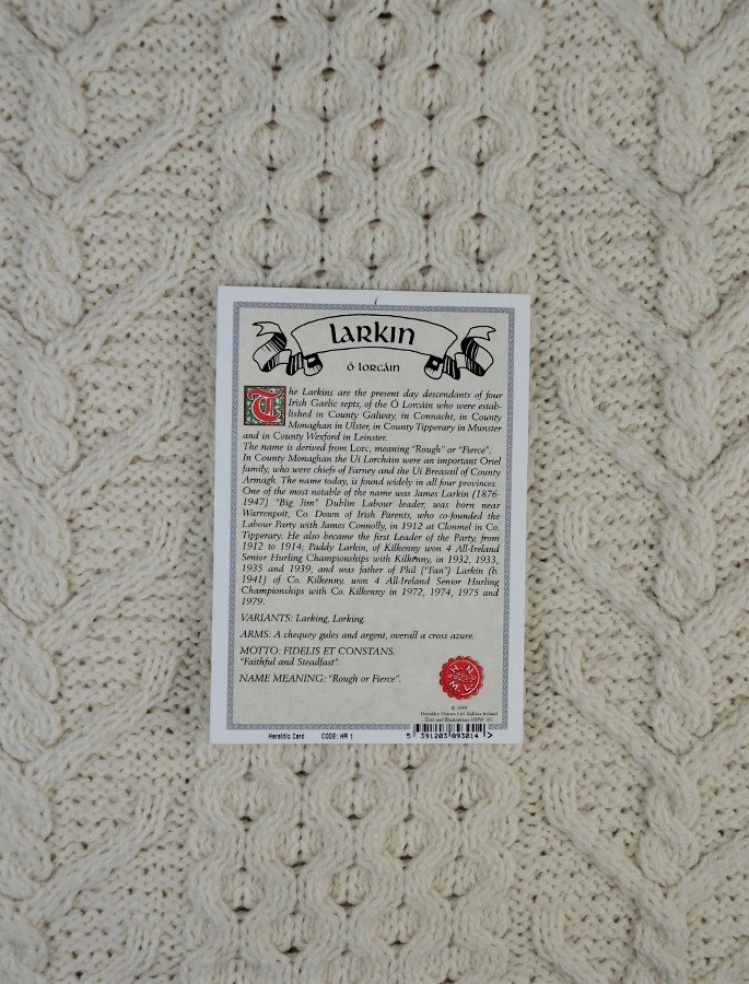 Larkin Clan Scarf - Image 3