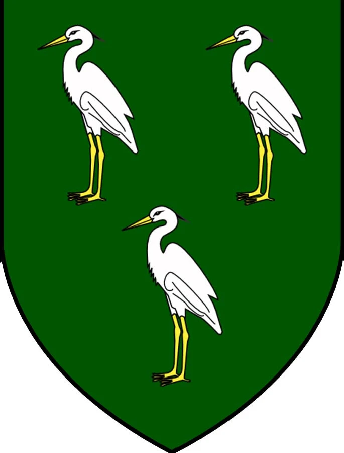 Ahern Knitting Kit - Image 3