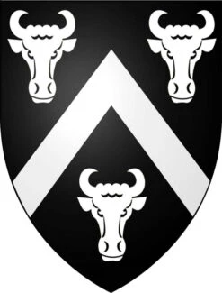 Buckley Knitting Pattern