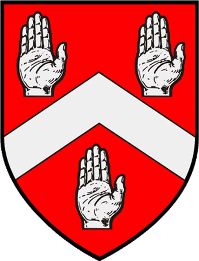 Byrne Knitting Kit - Image 3