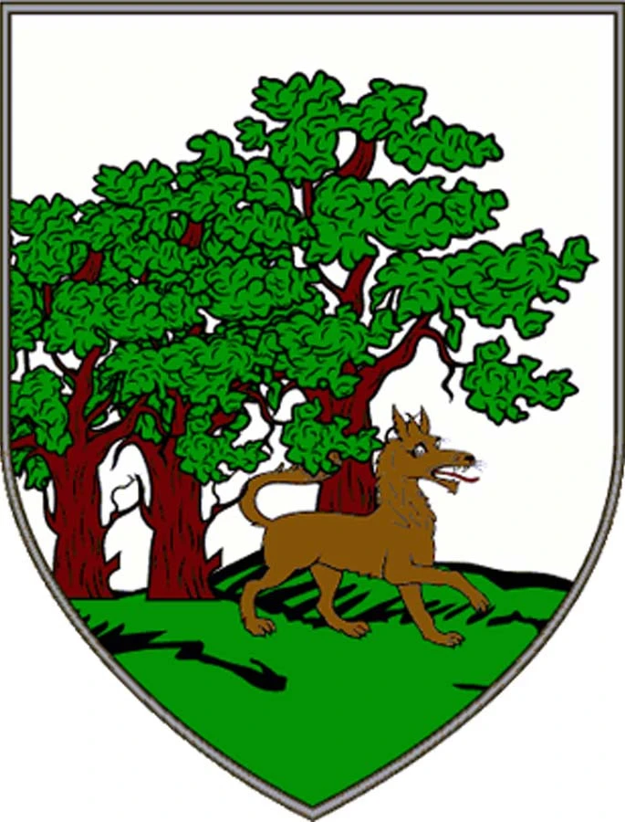 Callaghan Knitting Kit - Image 2