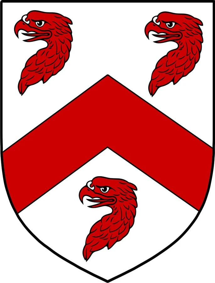 Casey Knitting Kit - Image 2