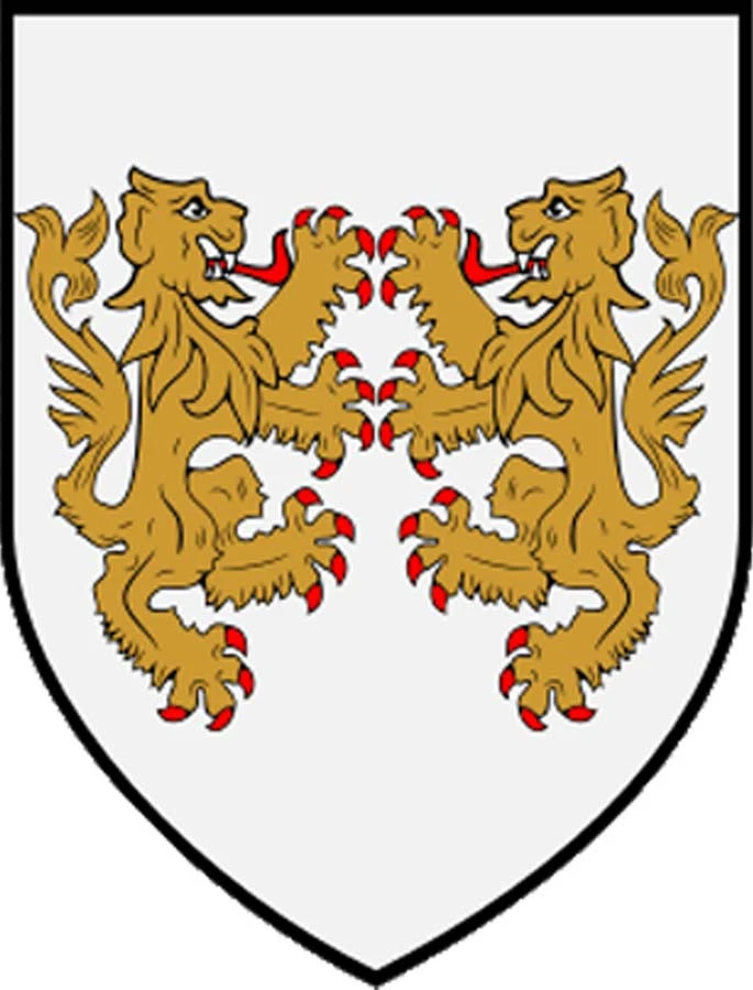 Collins Knitting Kit - Image 3