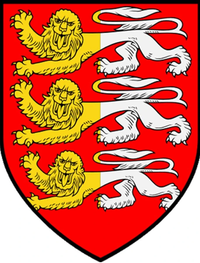 O'Brien Knitting Kit - Image 3