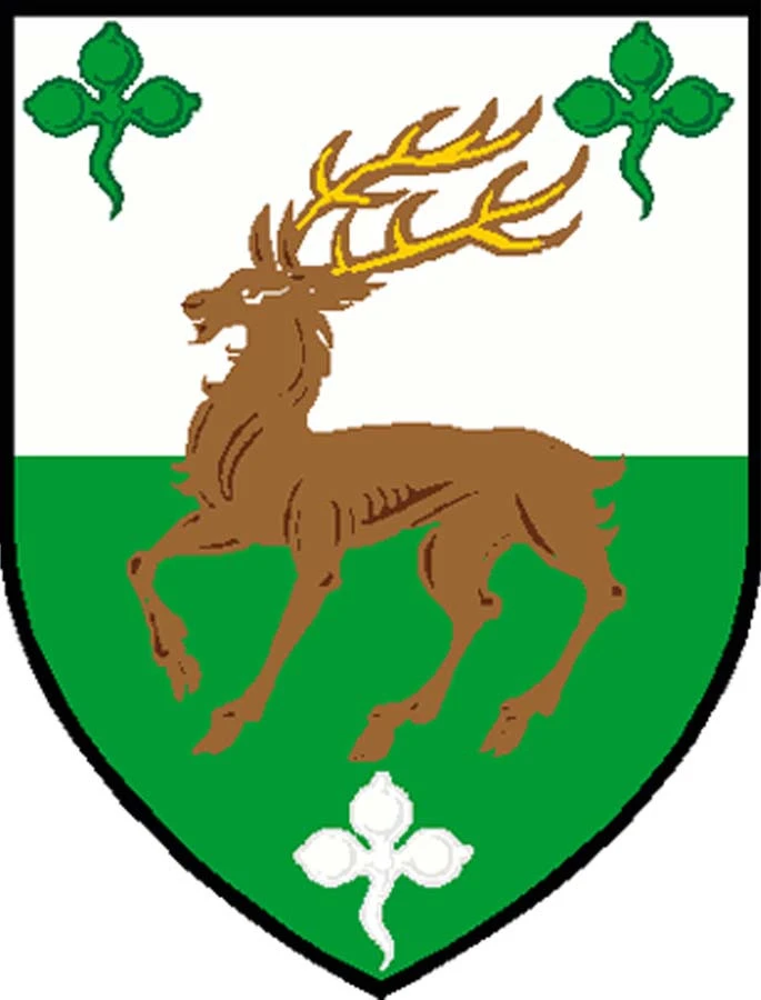 O'Connell Knitting Kit - Image 3