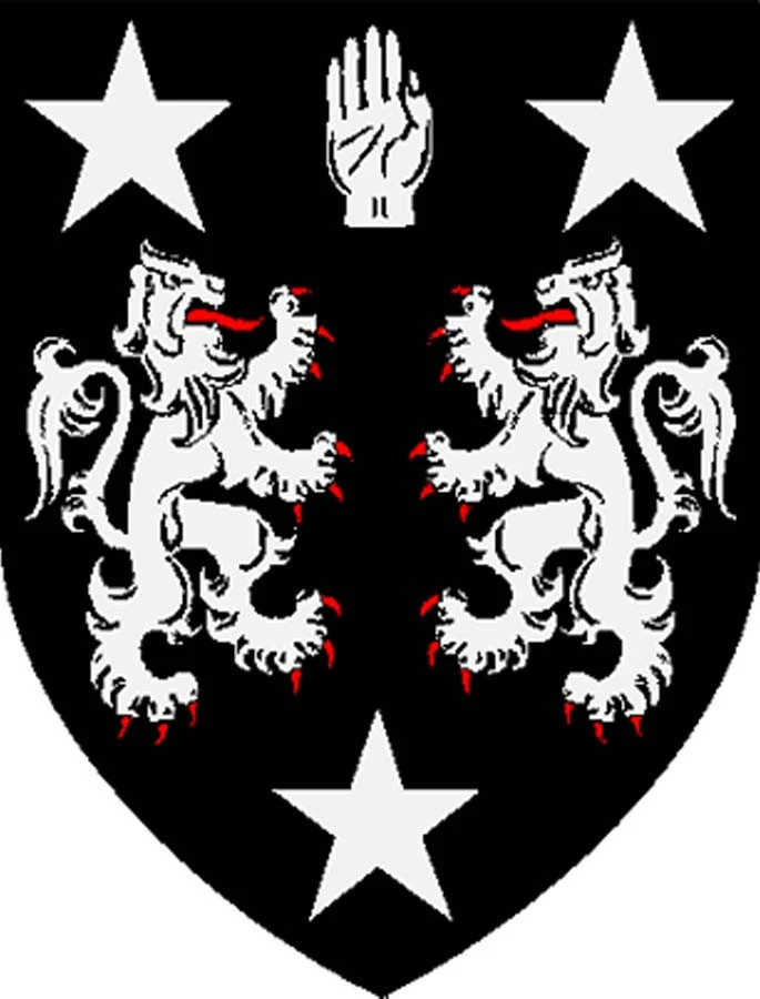 O'Donnell Knitting Kit - Image 3