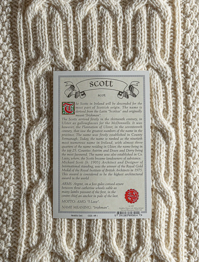 Scott Clan Scarf - Image 5